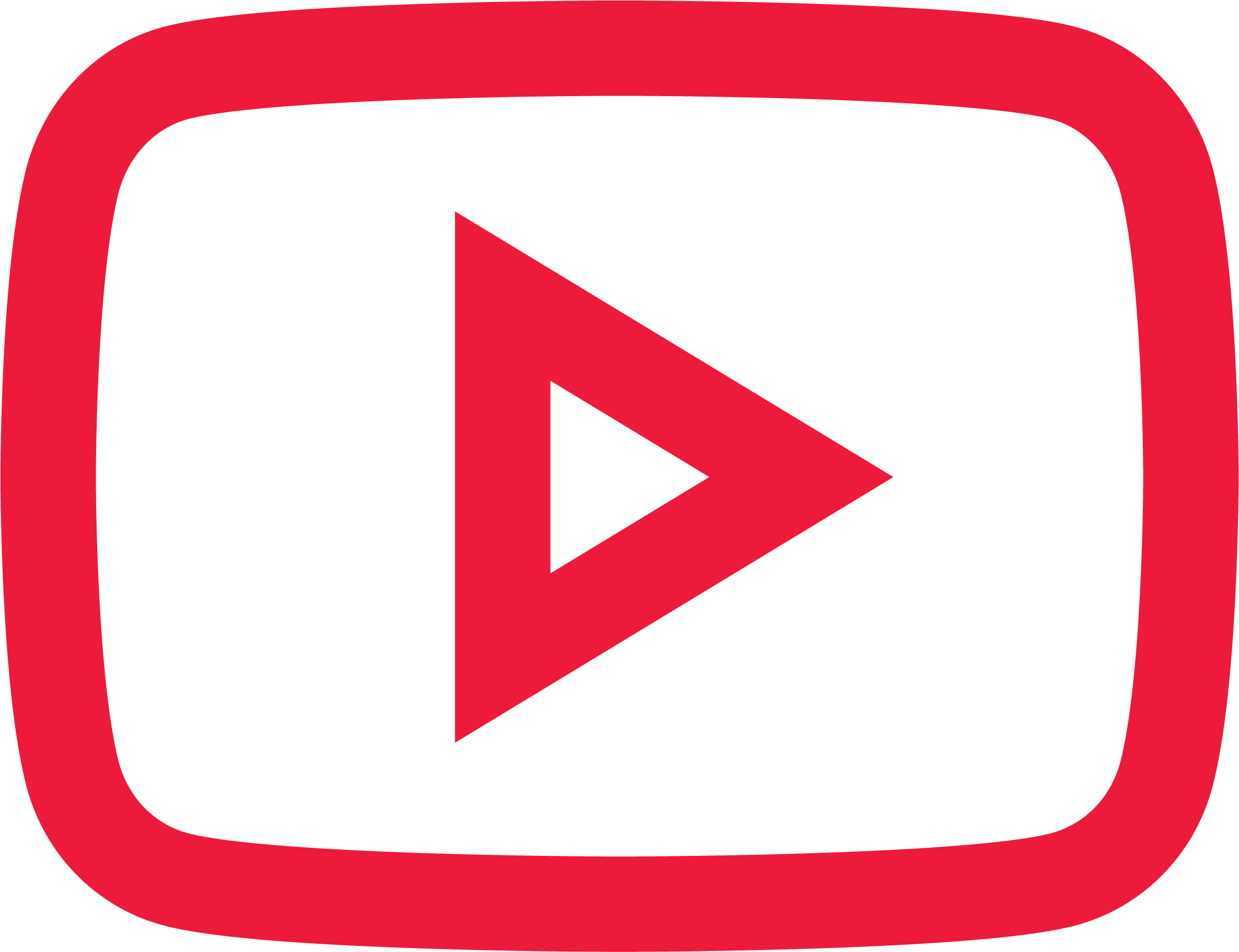 Youtube Icon Red
